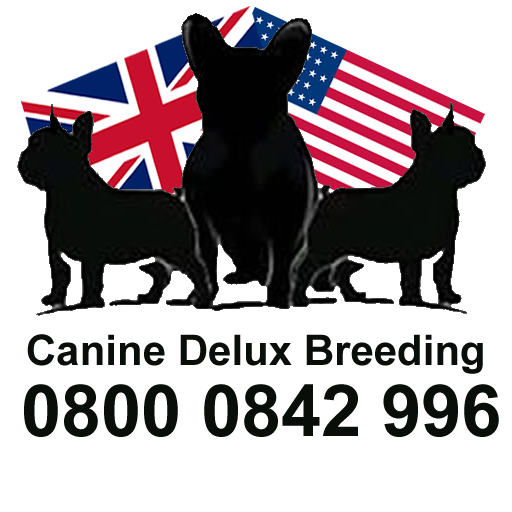 Canine Delux Breeding logo